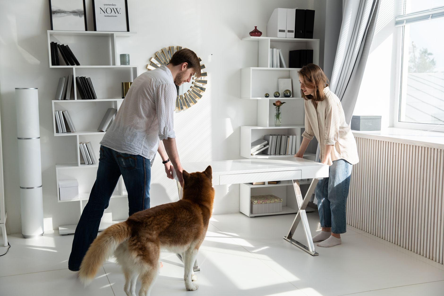 Evcil Hayvan Sahipleri İçin Minimalist ve İşlevsel Hediye Rehberi